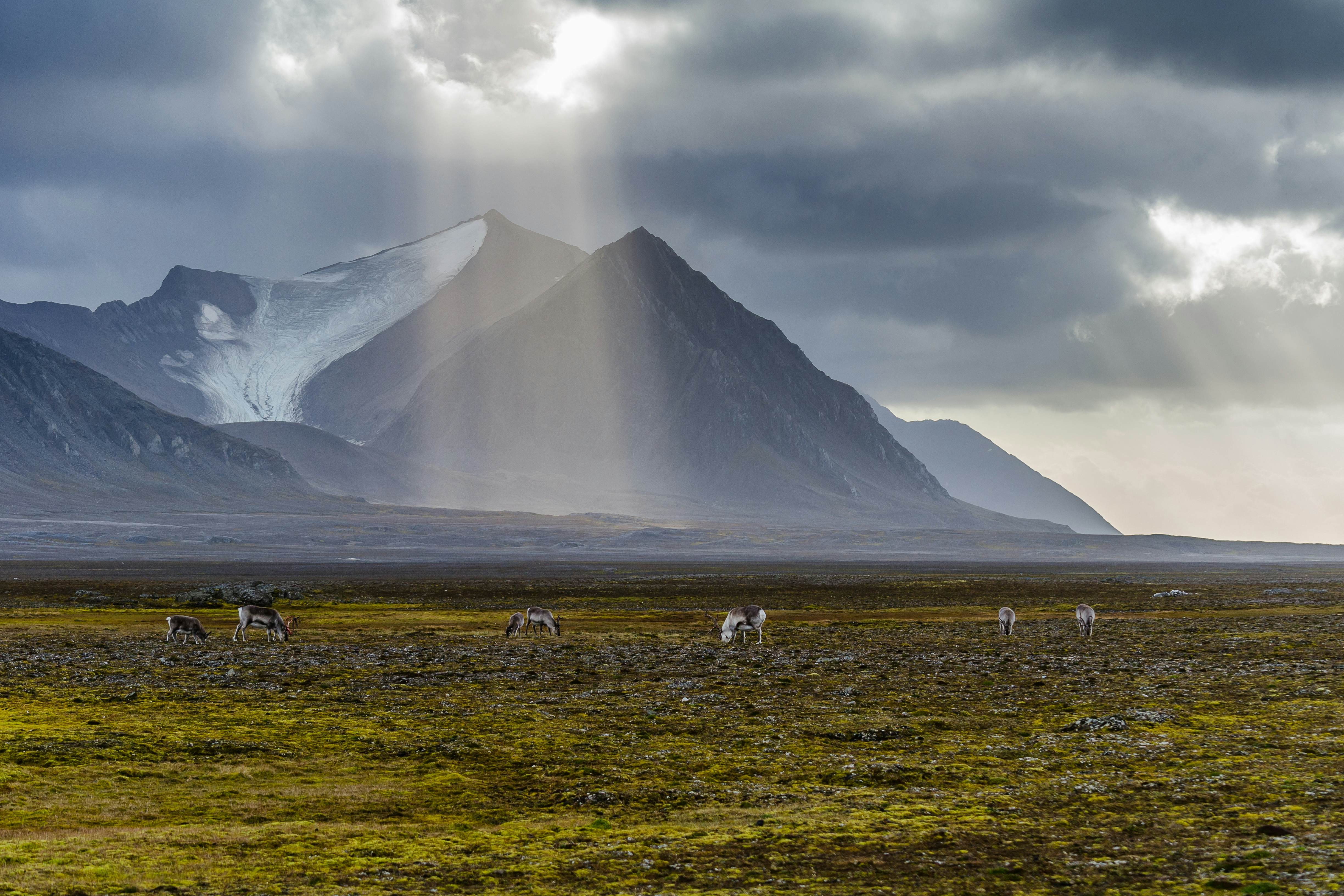 Svalbard Travel | Norway - Lonely Planet